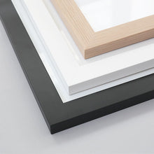 Load image into Gallery viewer, Dress Rehearsal print